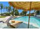 Gorgeous pool with in-water lounge seating and an umbrella for sun protection at 2648 Lake Manor Dr, Land O Lakes, FL 34639
