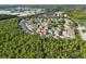 Areal view showcasing a neighborhood surrounded by lush greenery and mature trees at 27563 Pleasure Ride Loop, Wesley Chapel, FL 33544