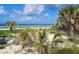 Tropical beach landscape with dunes, vegetation, and clear ocean views at 2770 Steeple Ct, Palm Harbor, FL 34684