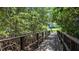 Charming wooden walkway winding through a tropical mangrove forest at 2941 Lichen Ln # B, Clearwater, FL 33760