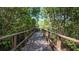 Inviting boardwalk winding through lush greenery and serene foliage at 2941 Lichen Ln # B, Clearwater, FL 33760