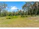 Picturesque backyard featuring mature trees, lush grass, and a beautiful pond at 31949 Amberlea Rd, Dade City, FL 33523