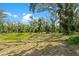 Expansive backyard featuring mature trees, lush grass, and a picturesque pond at 31949 Amberlea Rd, Dade City, FL 33523