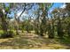 Beautiful treed land with mossy trees and an open area at 31949 Amberlea Rd, Dade City, FL 33523