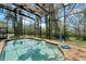 Refreshing screened pool area with a fun basketball hoop, surrounded by lush trees and a relaxing atmosphere at 31949 Amberlea Rd, Dade City, FL 33523