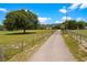 Long driveway leading to a charming home, offering privacy and a sense of tranquility at 31949 Amberlea Rd, Dade City, FL 33523