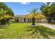 Charming single-story home with lush lawn, palm trees, and inviting curb appeal in a desirable neighborhood at 3628 Dellefield St, New Port Richey, FL 34655