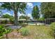 Spacious backyard featuring a pool with a safety fence, mature trees, and lush landscaping at 3849 Hollow Oak Pl, Land O Lakes, FL 34639