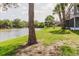 Scenic backyard view overlooking a lake and lush greenery at 4030 Cortez Dr # C, Tampa, FL 33614