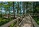 Wooden boardwalk through a lush wooded area leading to a lake, offering scenic views at 4335 Clairidge Way, Palm Harbor, FL 34685