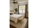 Comfortable bedroom with a ceiling fan, bench, and ample natural light at 4411 Shady Terrace Ln # 213, Tampa, FL 33613