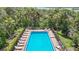 Relax in this tranquil fenced community pool with ample lounge chairs and surrounded by lush greenery and trees at 4567 Tuscan Loon Dr, Tampa, FL 33619