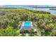 Aerial view of the fenced community pool surrounded by palm trees and lush greenery, and plenty of lounge chairs at 4567 Tuscan Loon Dr, Tampa, FL 33619