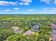 Picturesque aerial view of the community surrounded by lush greenery and mature trees at 5823 Terncrest Dr, Lithia, FL 33547