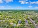 Expansive aerial view of the residential neighborhood and surrounding lush landscape and trees at 5823 Terncrest Dr, Lithia, FL 33547