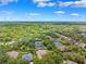 Wide aerial view showcasing the homes in the neighborhood among mature trees and lush landscaping at 5823 Terncrest Dr, Lithia, FL 33547