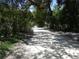 Long gravel road surrounded by trees at 8617 Broad St, New Port Richey, FL 34654
