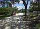 Rural street view with mature trees and vegetation in the surrounding area at 8617 Broad St, New Port Richey, FL 34654