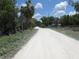 Dirt road with a stop sign and lush trees at 8617 Broad St, New Port Richey, FL 34654