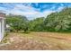A flat empty backyard on a single-story house adjoins a beautiful tree-lined green space at 921 Linn Harbor Ct, Tarpon Springs, FL 34689