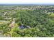Wide aerial view of a neighborhood with lush greenery, tree lined street, a home and private pond at 10113 Bell Creek Dr, Riverview, FL 33569