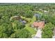 Stunning aerial shot showcasing a home with serene pond views, lush landscaping, and a private outdoor living space at 10113 Bell Creek Dr, Riverview, FL 33569