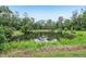 Scenic view of a pond surrounded by lush greenery and serene landscape at 10113 Bell Creek Dr, Riverview, FL 33569