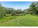 Calm pond view surrounded by lush green landscaping and mature trees at 10113 Bell Creek Dr, Riverview, FL 33569
