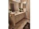 Bright bathroom with a vanity, well-lit mirror, and decorative plants for a fresh feel at 10436 White Lake Ct # 10436, Tampa, FL 33626