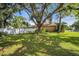 Expansive backyard featuring lush greenery, mature trees, and a privacy fence at 1715 Larabie Ct, Brandon, FL 33511