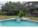 Screened-in pool and hot tub is surrounded by lush greenery, providing privacy at 18004 Clear Lake Dr, Lutz, FL 33548