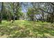 Expansive backyard lawn featuring scattered trees and a partial view of the home at 204 Oak Lake Dr, Spring Hill, FL 34608