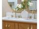 Bathroom vanity featuring elegant fixtures, a marble countertop, and a vase of fresh flowers at 243 45Th Ne Ave, St Petersburg, FL 33703