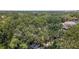 Aerial view showcasing the property's treed neighborhood at 3215 W Villa Rosa St, Tampa, FL 33611