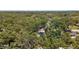 An aerial view of the property surrounded by lush trees at 3215 W Villa Rosa St, Tampa, FL 33611