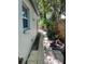 Stone path running along the side of the house to the backyard surrounded by lush, tropical plants at 3215 W Villa Rosa St, Tampa, FL 33611