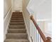 Carpeted stairway with wooden handrail, leading to additional living spaces at 3406 Dragon View Ct, Valrico, FL 33594