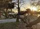 Picturesque park view featuring twisted trees, serene waterfront, and natural beauty for outdoor enjoyment at 401 Pennsylvania Ave, Crystal Beach, FL 34681