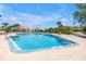 Community pool with clear, inviting water, surrounded by lounge chairs and lush landscaping at 4202 Harbor House Dr # 24, Tampa, FL 33615