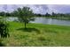Tranquil backyard water view featuring lush greenery and clear lake waters at 5082 Inshore Landings Dr, Apollo Beach, FL 33572