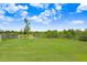 Expansive backyard with lush green lawn, offering serene lake views and outdoor enjoyment at 5430 Thistle Field Ct, Wesley Chapel, FL 33545