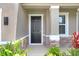 Inviting front entry featuring a stylish black door, stone accents, and well manicured plants at 5430 Thistle Field Ct, Wesley Chapel, FL 33545