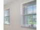 A view from a window showcasing the outside landscaping and neighborhood at 5430 Thistle Field Ct, Wesley Chapel, FL 33545