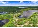 Aerial view of a property near the lake, outlined in red, showcasing its lush surroundings and serene waterfront at 8903 Donna Lu Dr, Odessa, FL 33556