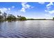 Expansive lake view showcasing the waterfront and surrounding treeline under a partly cloudy, bright blue sky at 8903 Donna Lu Dr, Odessa, FL 33556