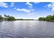 Expansive lake view showcasing the waterfront and surrounding treeline under a partly cloudy, bright blue sky at 8903 Donna Lu Dr, Odessa, FL 33556