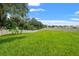 A lush green back yard with a new fence and trees, offering privacy and space at 10823 Trailing Vine Dr, Tampa, FL 33610