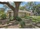 Beautiful exterior view of a house surrounded by lush landscaping and a large tree at 10902 Bent Tree Pl, Tampa, FL 33618