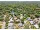 An aerial view of the neighborhood showcasing the mature trees and pond at 1905 E Broad St, Tampa, FL 33610