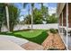 Putting green with lush landscaping, bamboo, and palm trees at 2560 51St N St, St Petersburg, FL 33710
